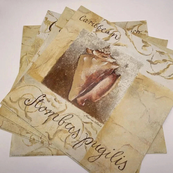 Lot Of 4 Shell Art Prints 12x12 Caribbean, Japan, Gulf of Mexico, Indo Pacific - Picture 6 of 10